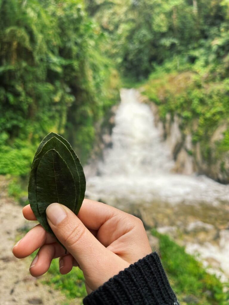 Woman in front of Waterfall